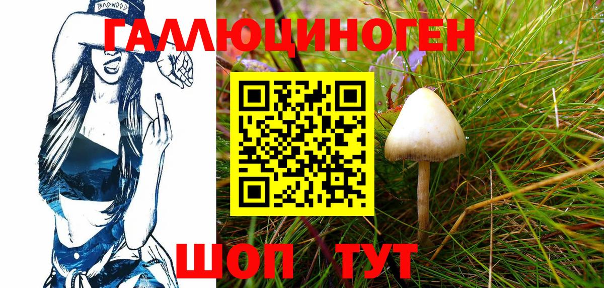 Псилоцибиновые грибы MAGIC MUSHROOMS  Псилоцибиновые грибы мухоморы  Вход с VPN  Шали 
